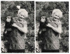 restored image of a woman holding a dog